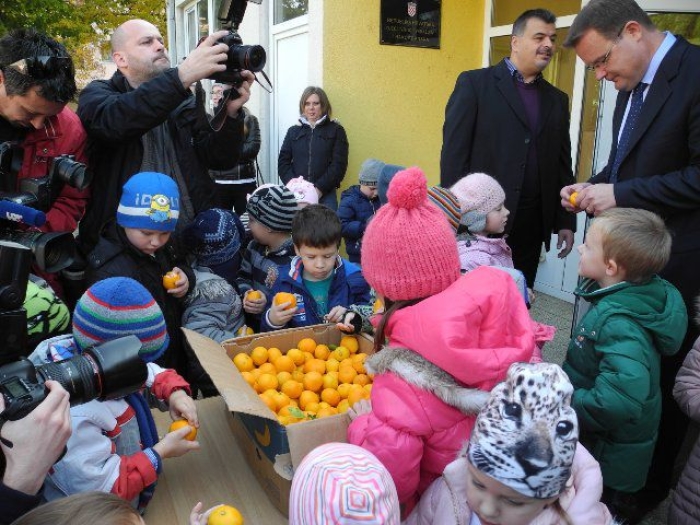 mandarine u vrtiću ndarine u vrtiću image mandarine u vrtiću