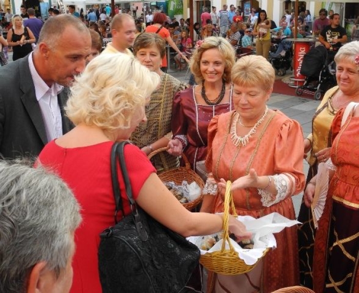 VRDOLJAK ZA WEB