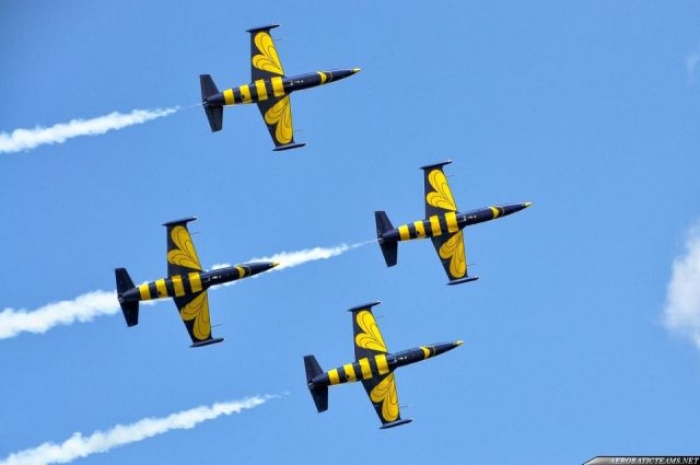 baltic-bees-l-39-01