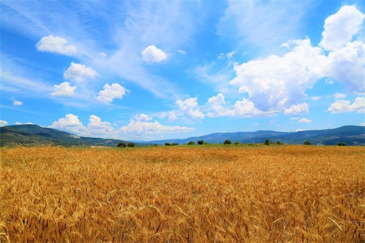 Foto: Ministarstvo poljoprivrede